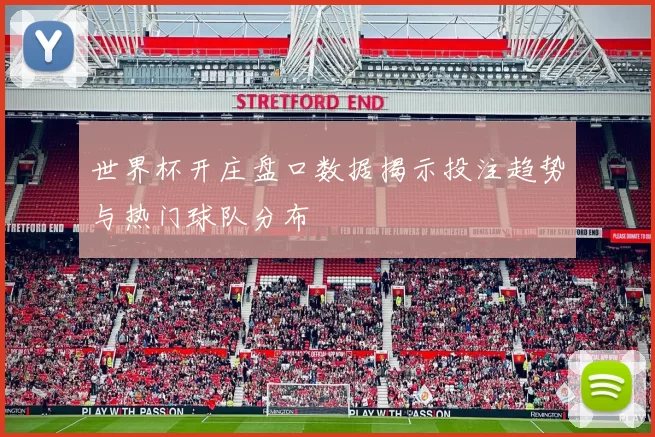 世界杯开庄盘口数据揭示投注趋势与热门球队分布