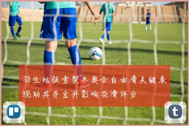 羽生结弦索契冬奥会自由滑关键表现助其夺金并影响花滑评分