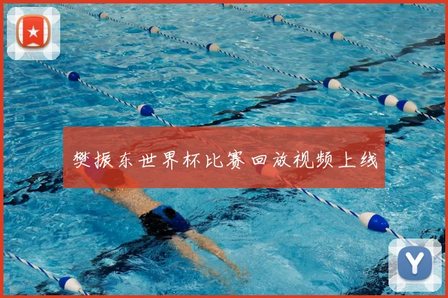 樊振东世界杯比赛回放视频上线