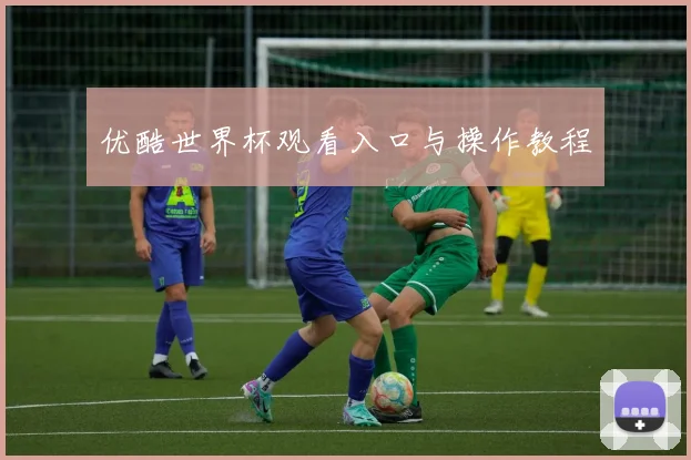 优酷世界杯观看入口与操作教程